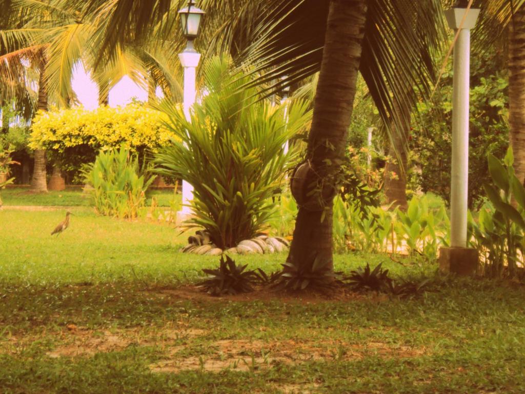 Hotel Lagoon Paradise Negombo Exterior photo