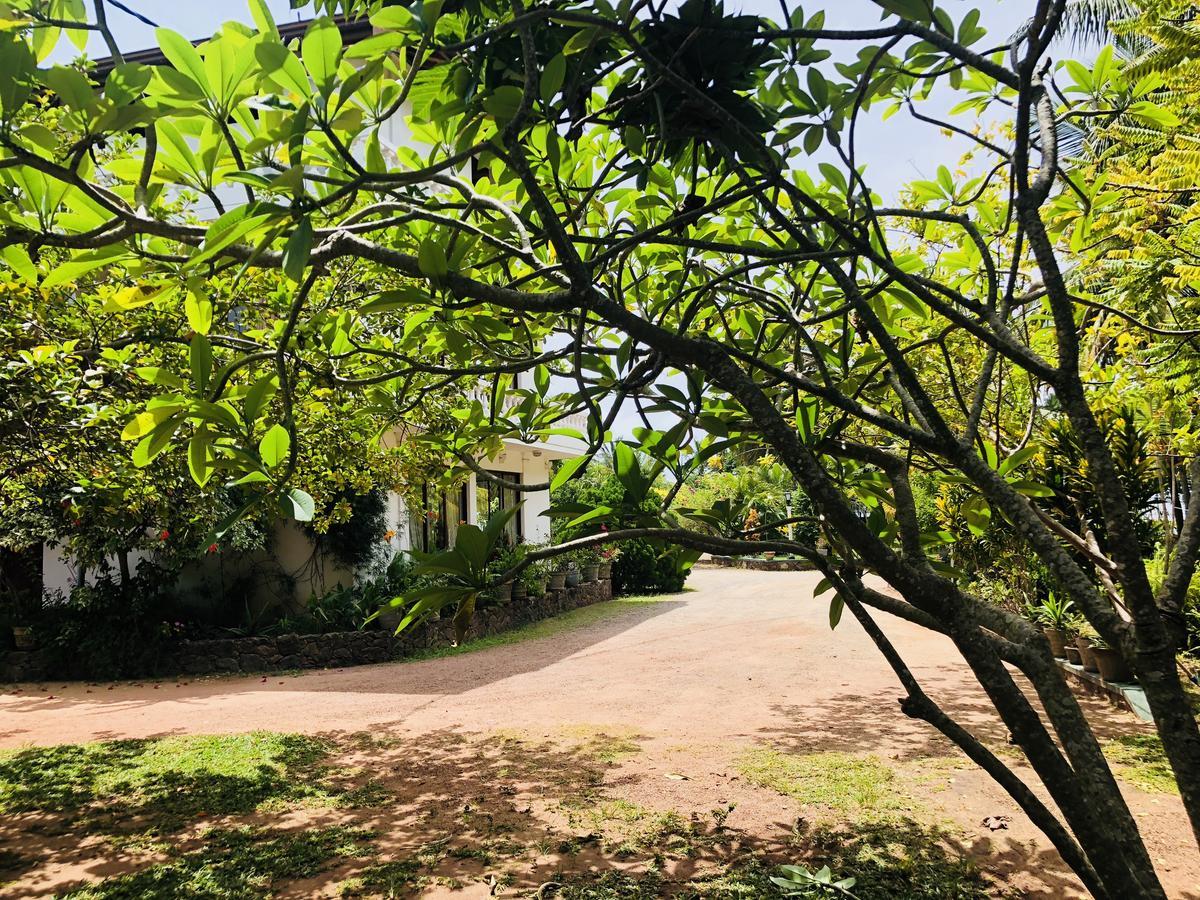 Hotel Lagoon Paradise Negombo Exterior photo