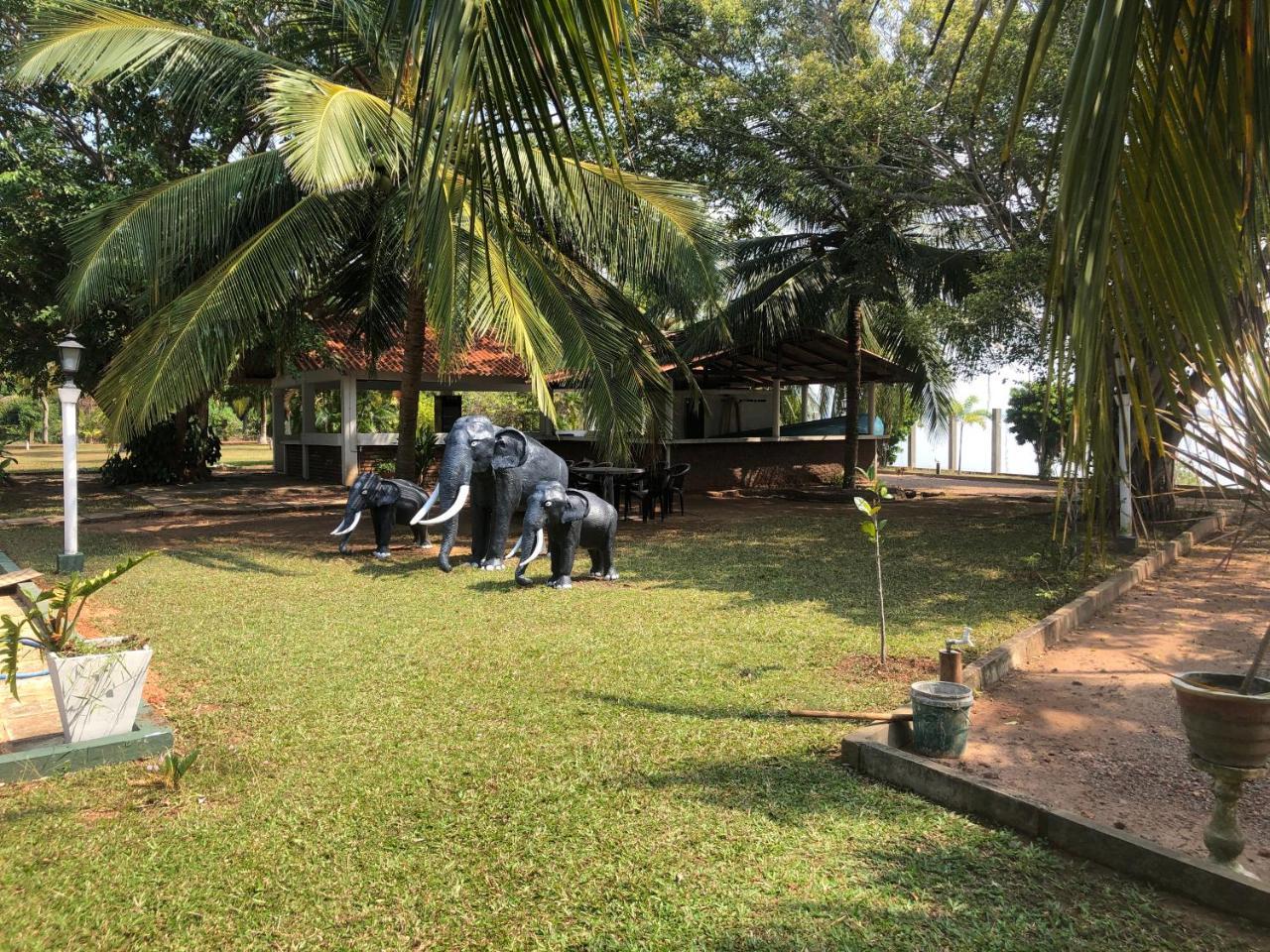 Hotel Lagoon Paradise Negombo Exterior photo